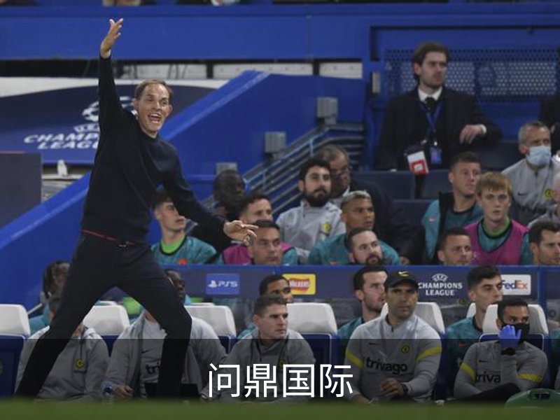 问鼎国际简介